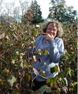 Standing in Tall Cotton