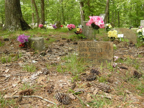 Grave Marker for Old Blue