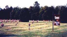 Photo of Cemetery