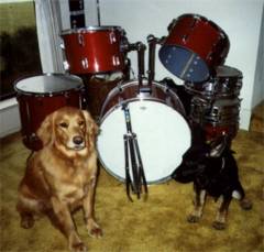 Chotah and Harvard sitting by the drumset