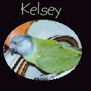 Kelsey