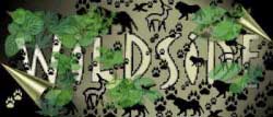 Wildside