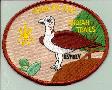 Click here for an enlarged view of this patch