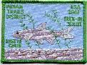 Click here for an enlarged view of this patch