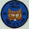 Click here for an enlarged view of this patch