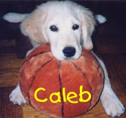 Caleb