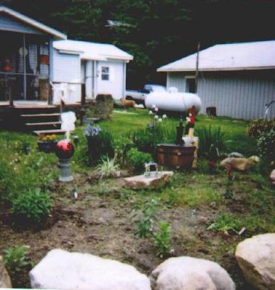 backyard garden