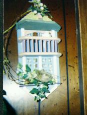 bird house condo