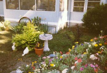 photo of a birdbath by a bush