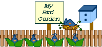 My bird garden