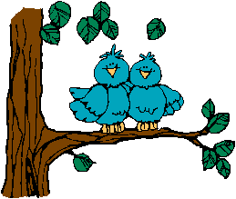 two adopted bluebirds sitting on a tree branch