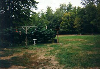 picture of bird feeding stations