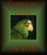 Chester has his eye on YOU