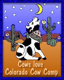 Cows Love Colorado Cow Camp