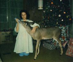 dark haired lady feeding a baby deer