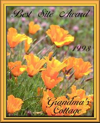 Best Site Award - 1998 - Grandma's Cottage