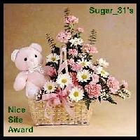 Sugar 31's Nice Site Award