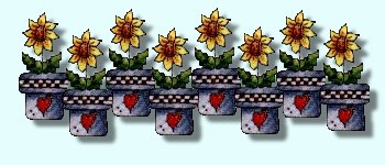 daisies in pots divider line