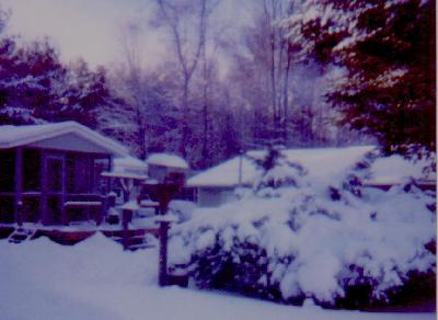 Our backyard, covered in snow!