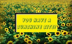 You have a Sunshine Site