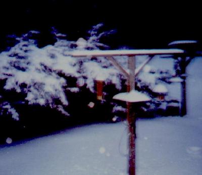 our birdfeeders in the snow