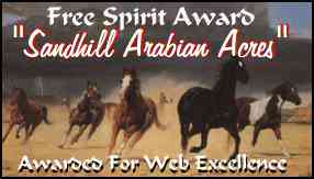 Free Spirit Award for Web Excellence from Sandhill Arabian Acres