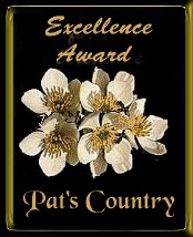 Excellence Award