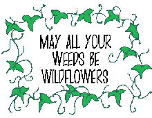 May all your weeds be wildflowers