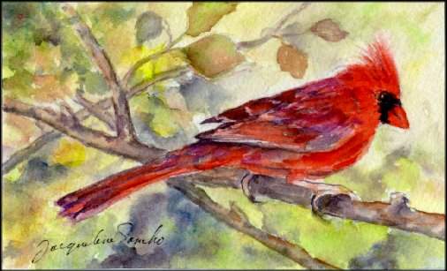 Water Color, Cardinal