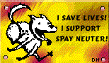 Spay Neuter