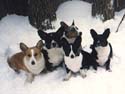 Family portrait in snow