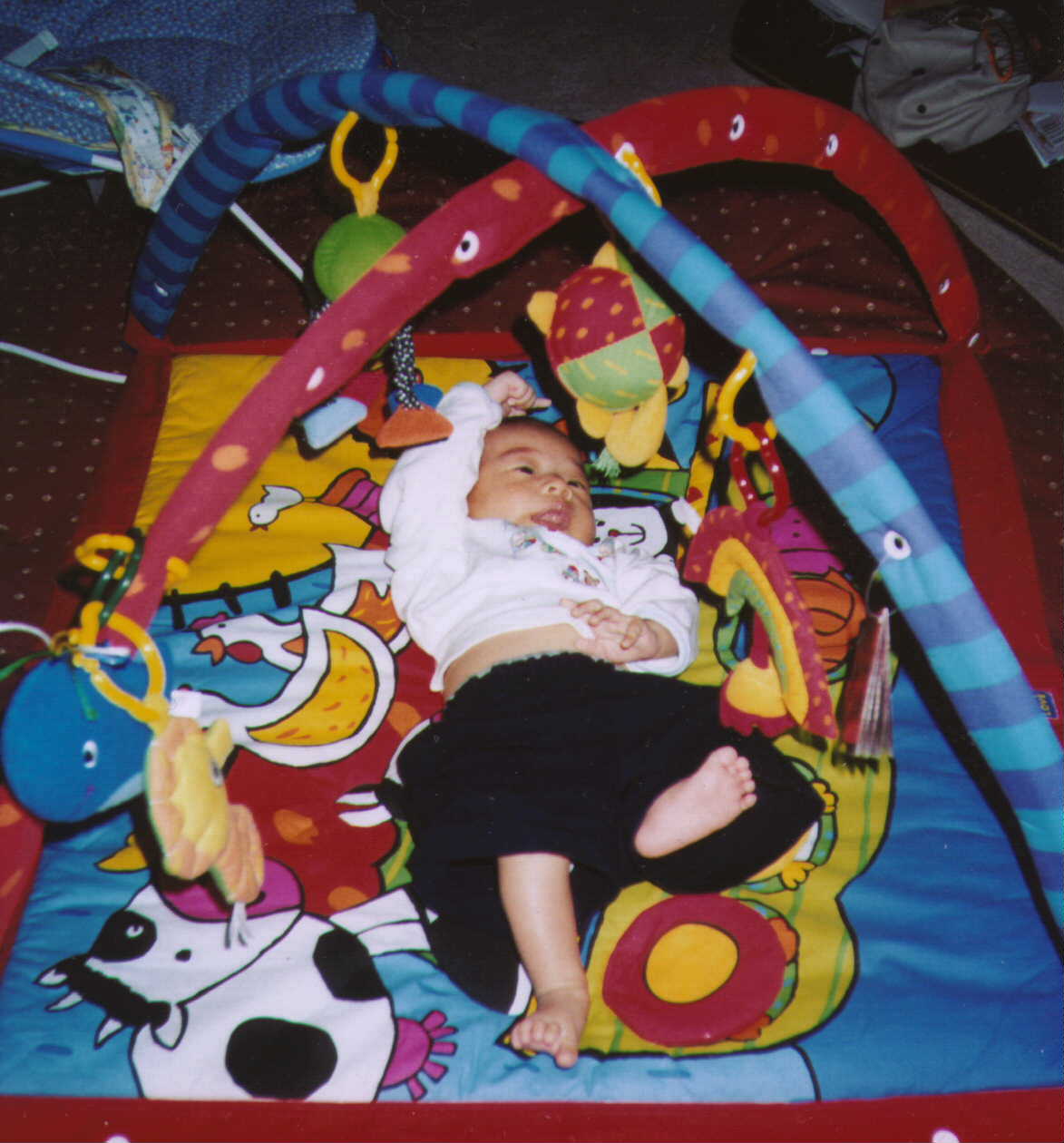 Playing in Gym (2.5 months old)