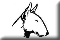 The Bull Terrier Web RING (4824 bytes)