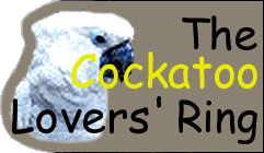 The Cockatoo Lovers' Ring