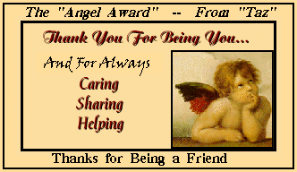 Denise's Special Angel Award From Taz