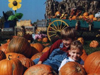 The Pumpkin Patch