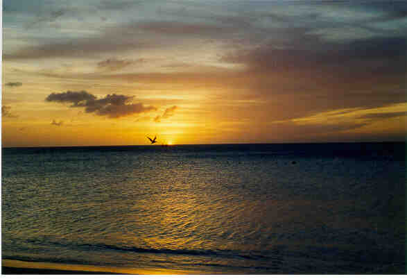 Aruban sunset