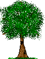 green tree