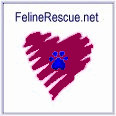 FelineRescue.net