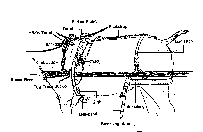 Harness parts