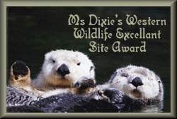 Ms. Dixie's Western Wildlife Excellent Site Award 8/19/98