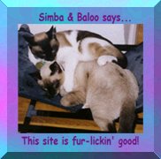 Simba and Baloo say 'This site is fur lickin' good!' 8/4/98