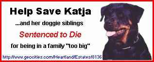 Help save Katja!