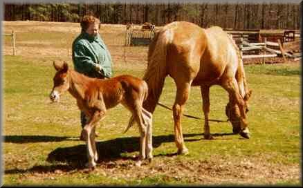 PRC and her baby.  Oh, that's my mom!