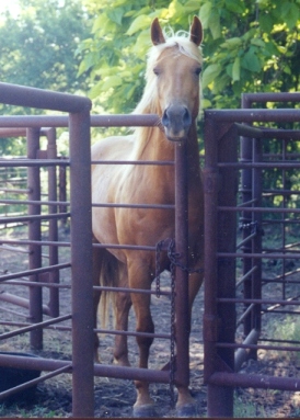 Are you coming to let me out of here?