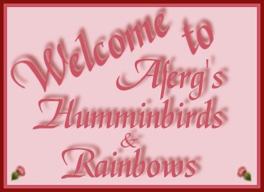 Welcome to Aferg's Hummingbirds