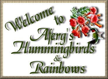 Welcome to Aferg's Hummingbirds