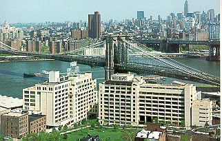 New York Skyline - Office Complex