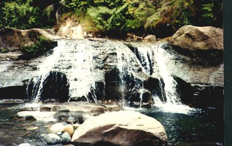 arrowsmith creek