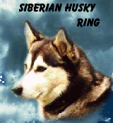 Siberian Husky Ring